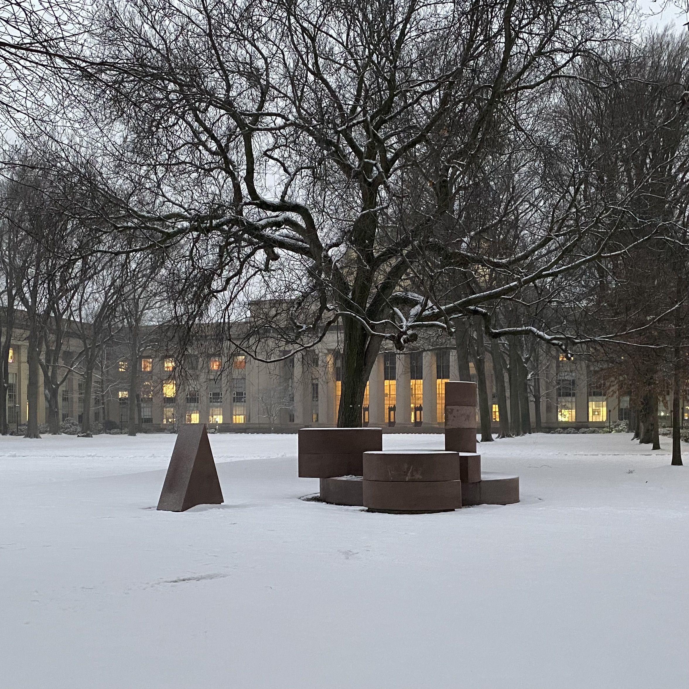 Snow in Killian Court on MIT's campus